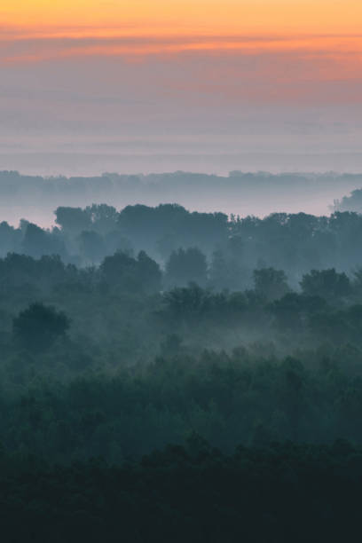 istock Mystical view from top on forest under haze at early morning. Mist among layers from tree silhouettes in taiga under warm predawn sky. Morning atmospheric minimalistic landscape of majestic nature. 1151873231
