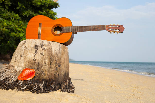 istock Guitar on sand beach In the beautiful summer 1151873601