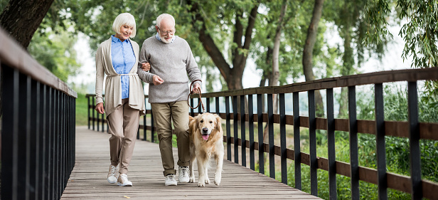 happy senior couple walking with dog across wooden bridge in park