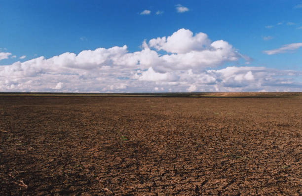 istock Austalian Dry Rural Dam 1151883939