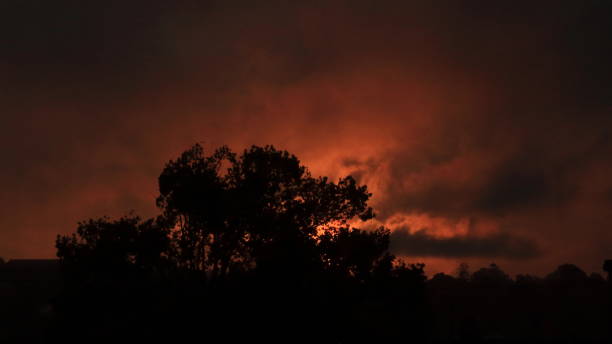 istock Sunset with deep red/orange glow behind a silhouette of tree 1151883940