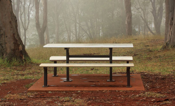 Wet Picnic Table on a Foggy morning at Picnic Point, Toowoomba, QLD