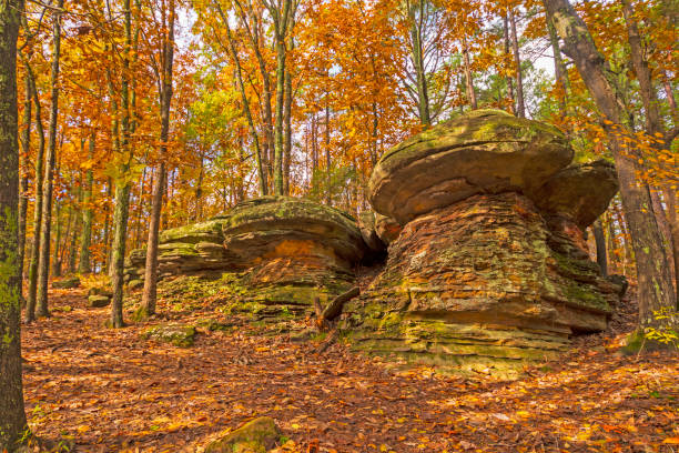 Hidden Mushroom Rocks in the Fall Forest stock photo