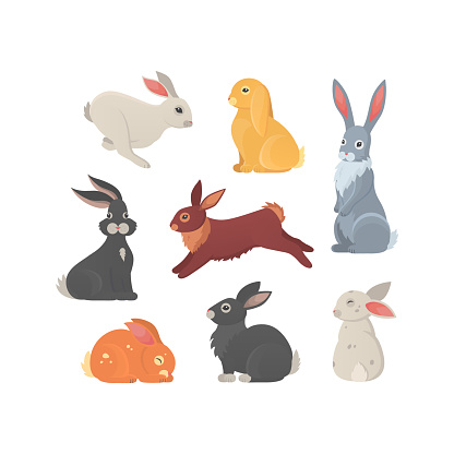 Different breeds of cute rabbits vector illustration