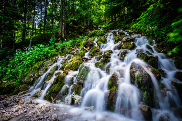Austria, Europe, Gosau, Beauty In Nature, Clean