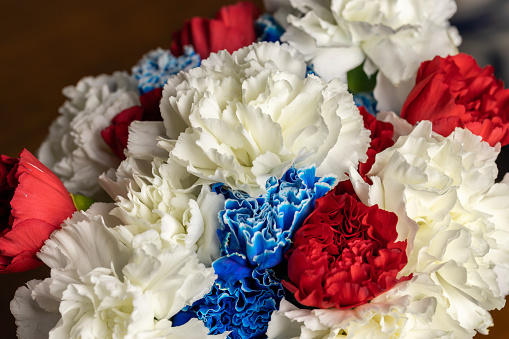 Patriotic carnation cloud for the holidays