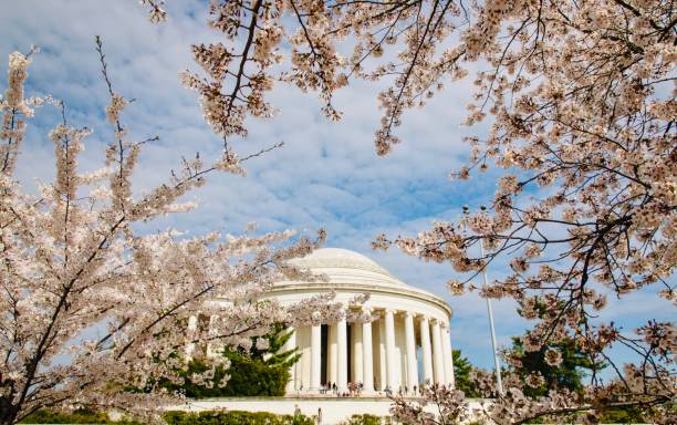 istock The Jefferson Memorial 1151893149