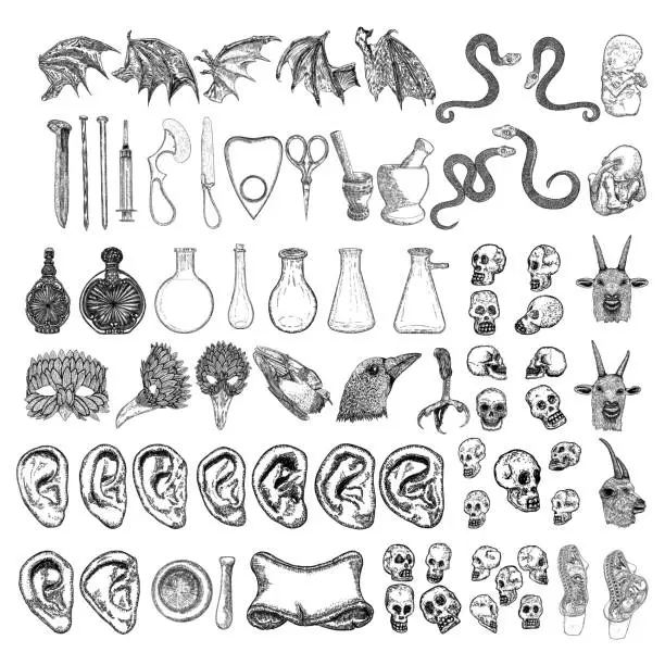 Vector illustration of Random magic elements set. Witchcraft spell symbols. Human ear, vampire wing, bird leg, scissors, bottle with potion, nail, mortar, pestle, crow head, snake, goat, syringe, skulls, mask, banner vector