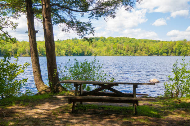 istock Picnic table near a pond 1151894511