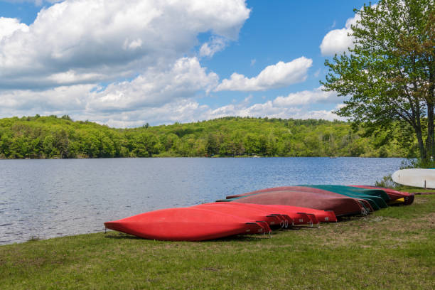 istock Colorful kayaks on the shore 1151894618