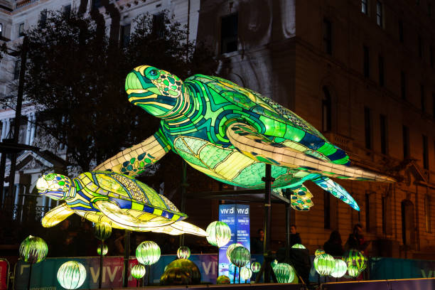 Sydney, Australia - May 26, 2019: A view of the installation named 'Marine Turtle' is seen during Vivid Sydney 2019 at Circular Quay on May 26, 2019 in Sydney, Australia