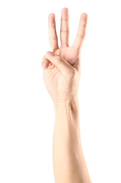 istock Hand show finger number three isolated on white background with clipping path. 1151901541