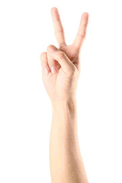 istock Hand show finger number two isolated on white background with clipping path. 1151901545