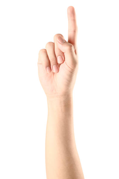 istock Hand show finger number one isolated on white background with clipping path. 1151901547