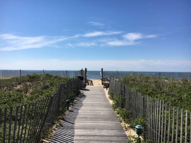 istock A Path to the Beach at Montauk 1151903987