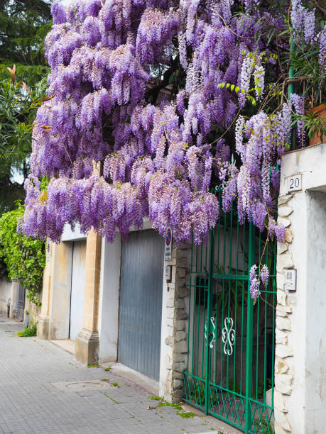 istock Purple flowers are a beautiful bunch. 1151904028
