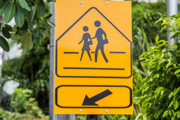 istock Traffic sign School warning sign here with green leaf 1151908378
