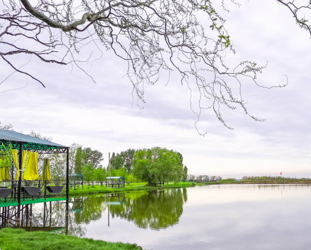 istock Nature with a lake. Spring time place for relax. 1151914320