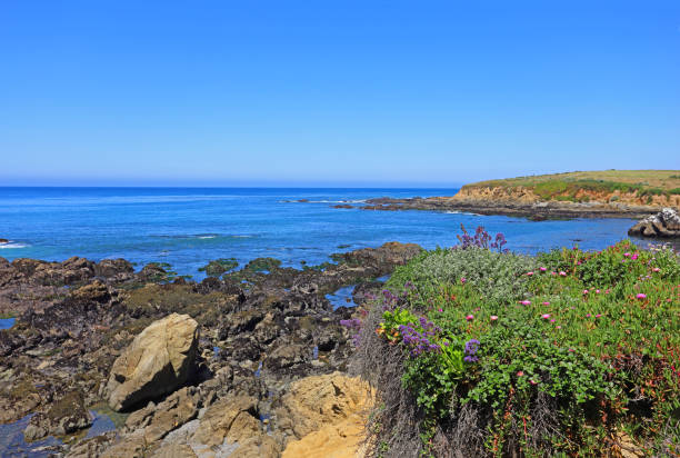 istock Central California coastline 1151922678