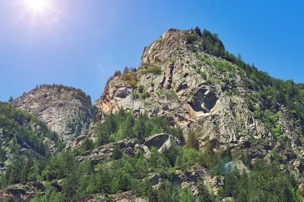 rock mountain cliff with green trees forest in summer at Switzerland