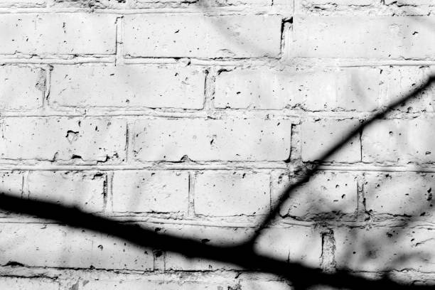 istock Old painted brick wall with shadows of branches on it on a sunny day. Black and white abstract background 1151927333