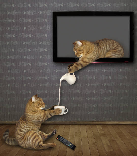 istock Cat pours milk through the TV screen 1151927563