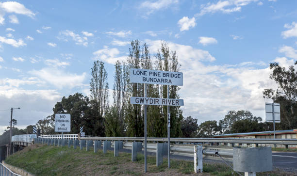 istock The Lone Pine Bridge Over the Gwydir River 1151928120