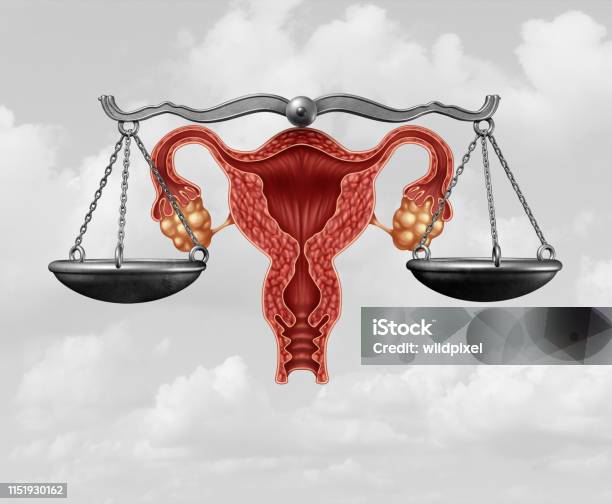Abortion Legislation Stock Photo - Download Image Now - Pro-Choice, Abortion, Law