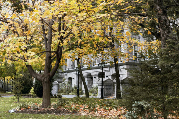 Autumn foliage in Montreal, Canada View of park and building exterior surrounded by yellow fall foliage in Montreal, Quebec place jacques cartier stock pictures, royalty-free photos & images