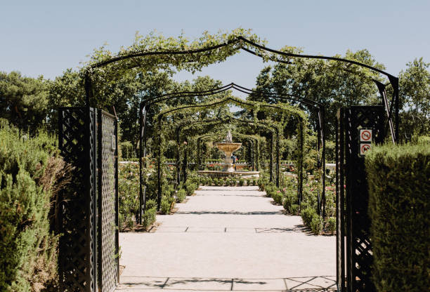 parque del buen retiro a madrid, spagna - fountain landscaped ornamental garden flower bed foto e immagini stock