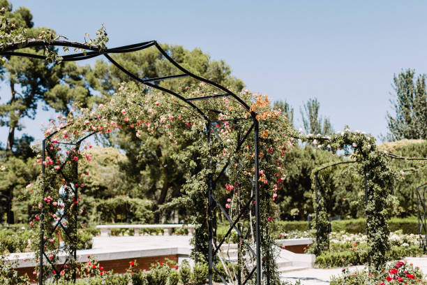 istock Buen Retiro Park in Madrid, Spain 1151937724