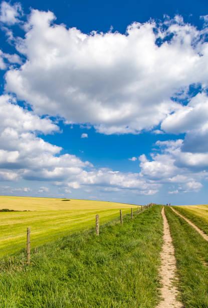 istock Dorset countryside England 1151938026
