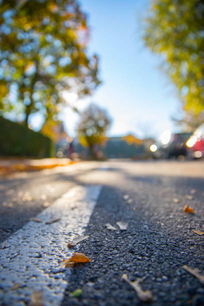 istock Leaf on the street, autumn, copy space 1151944451