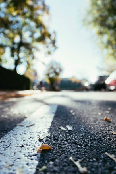 istock Leaf on the street, autumn, copy space 1151944571