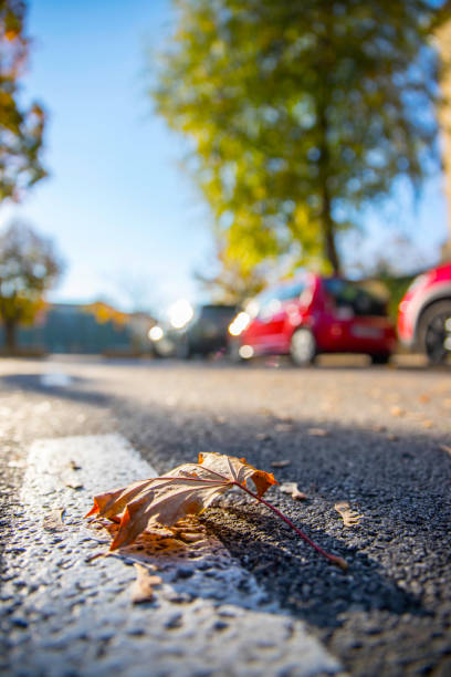 istock Leaf on the street, autumn, copy space 1151944745