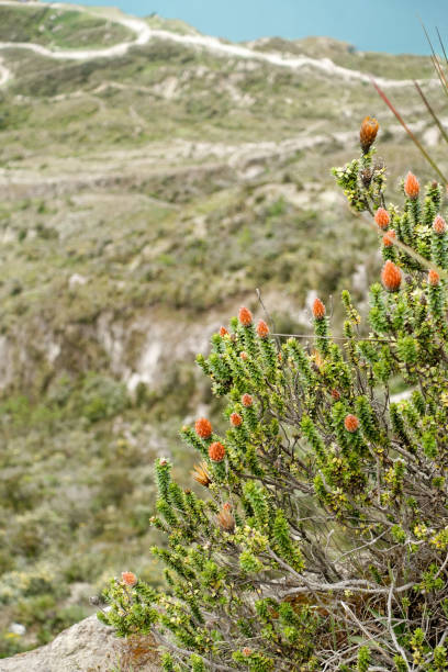 istock QUILOTOA, United Kingdom 1151946324