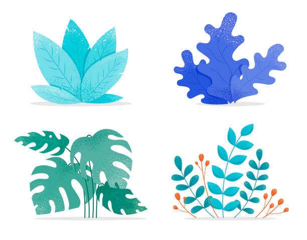 i̇zole düz renkli stil yaprakları seti - brezilya illüstrasyonlar stock illustrations