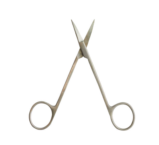 istock doctor scissors  on white isolated background 1151951142
