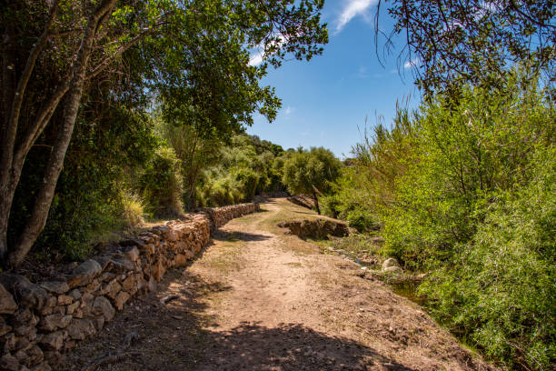 a hiking trail along a low wall in southern Corsica in spring