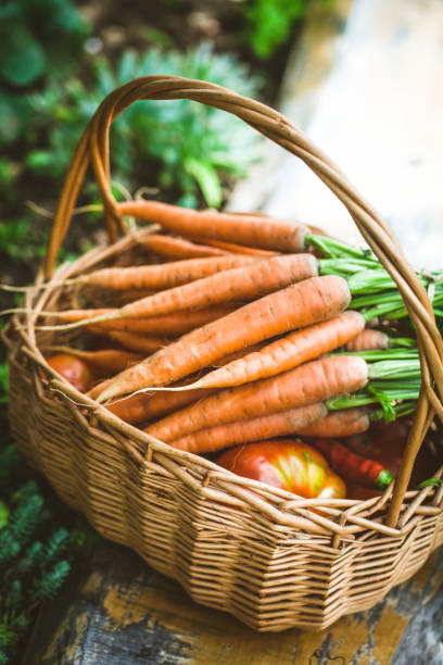 istock Fresh carrots in basket 1151954248