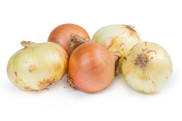 istock Young bulb onions and onions from last year's harvest 1151954806