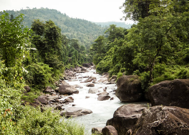 istock Main tributary of river Teesta, the Rangit river flowing through a dense pristine jungle in northeast of Rangpo Chu at Rangpo settlement just before the Teesta bridge at entrance to East Sikkim. 1151954968