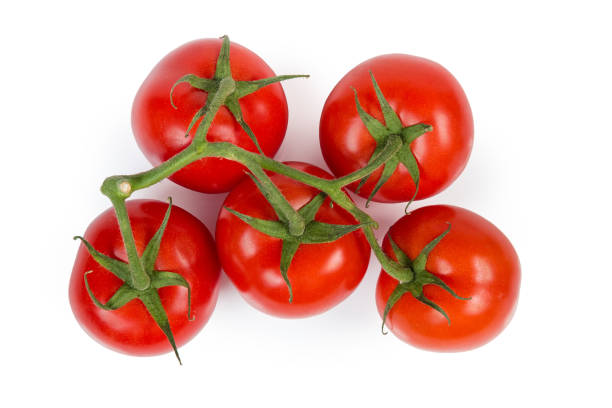 istock Top view of red tomatoes on branch on white background 1151955313