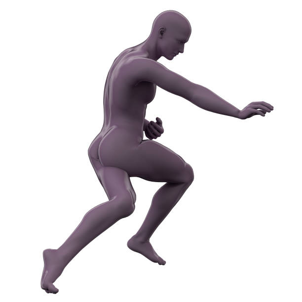 istock 3d rendering illustration of skeleton bone anatomy 1151957707
