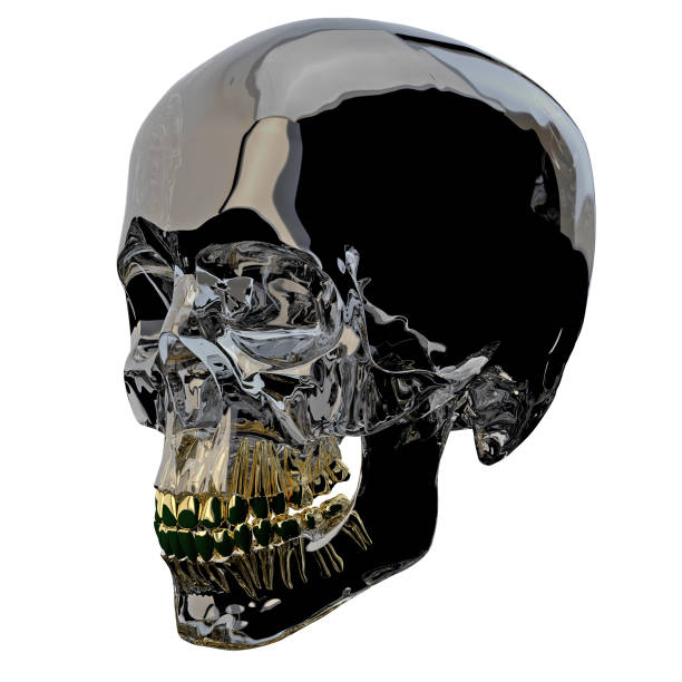 Human skull with pink glasses and open jaw isolated on white background with clipping path