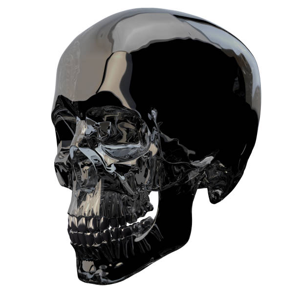 3D-Rening-Illustration der Schädelanatomie – Foto