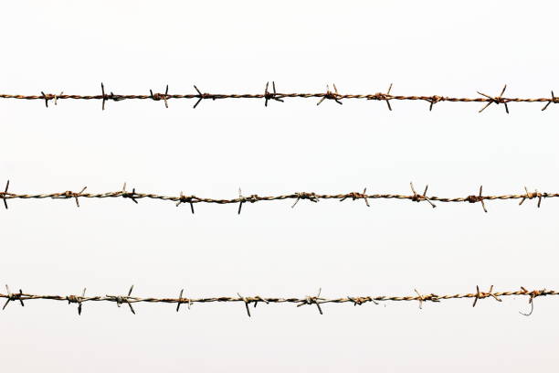 filo spinato, centro di detenzione filo spinato arrugginito isolato su sfondo bianco - barbed wire foto e immagini stock