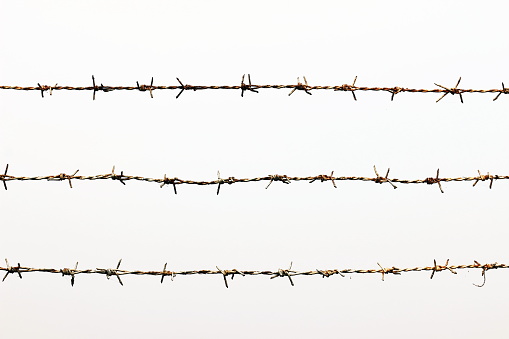 Old fence in a field with barbed wire