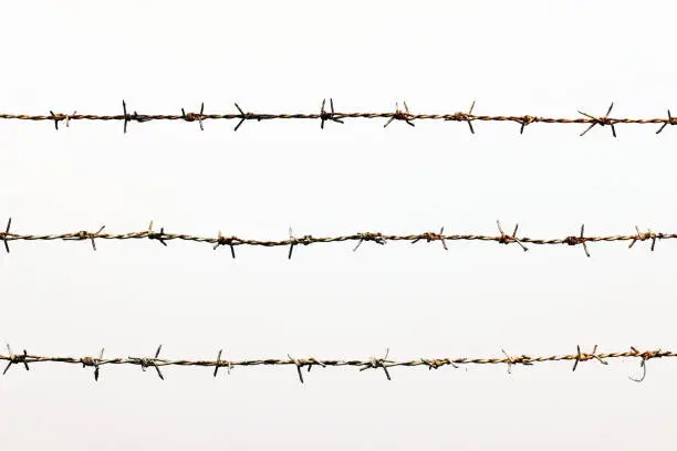 Photo of barbed wire, rusty barbed wire detention center isolated on white background