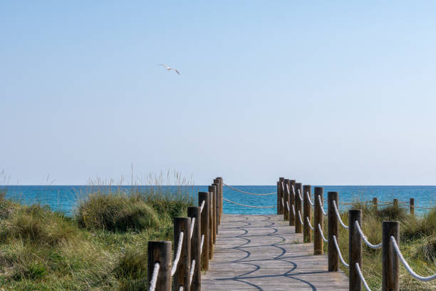 istock Footpath Leading Towards Sea Against Clear Sky During Sunny Day 1151962564